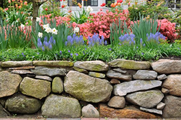 Stone Wall Hardscaping in Salem
